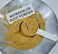 Astragalus Root Powder - 16 oz. (about 1250 serv.)
