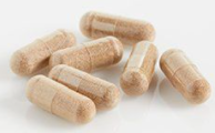 Collagen - Wild Caught - 120 capsules (30-60 servings)